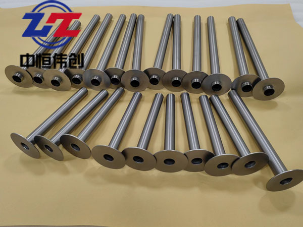 鉭保護(hù)管